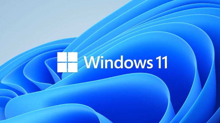 windows 11